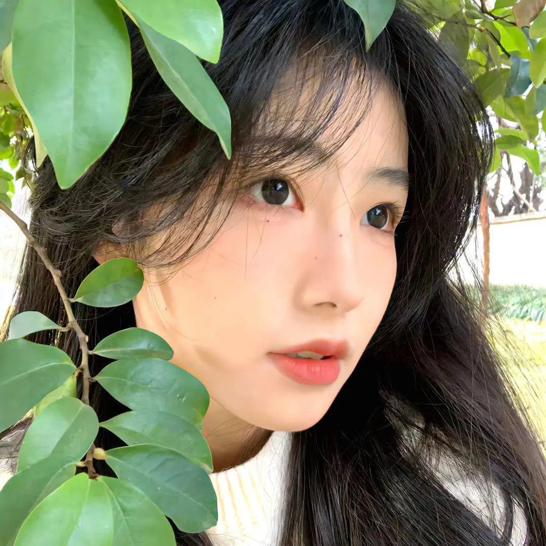女鹿